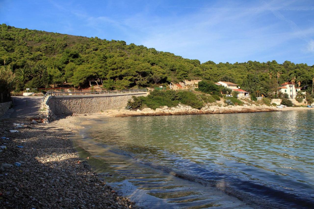 Apartments By The Sea Milna, Vis - 8913 エクステリア 写真
