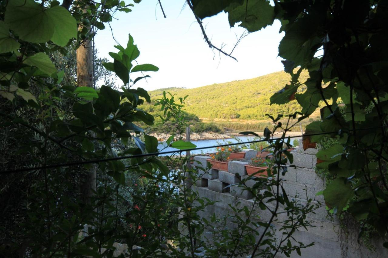 Apartments By The Sea Milna, Vis - 8913 エクステリア 写真
